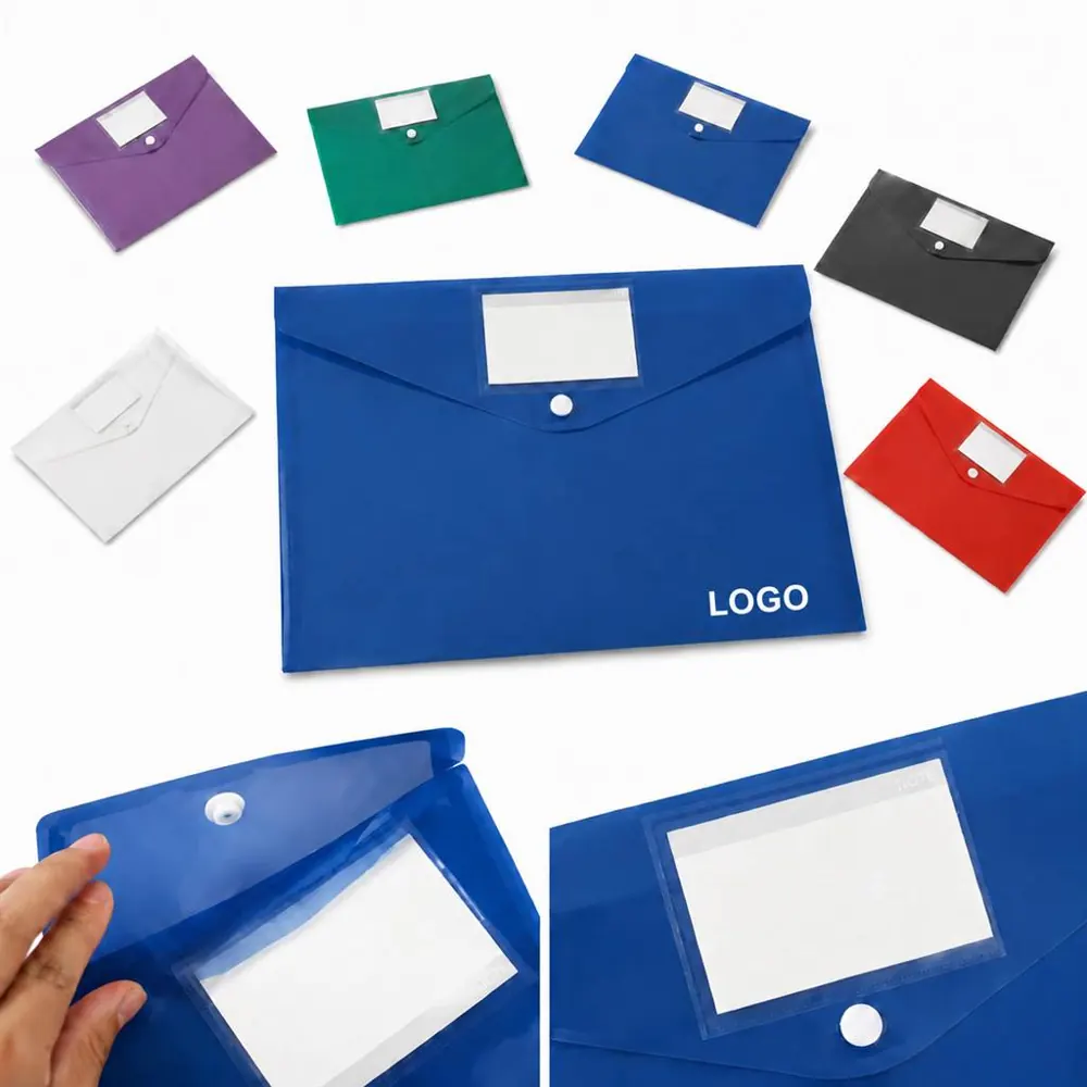 Snap-Close A4 Document Bag with Label, Transparent