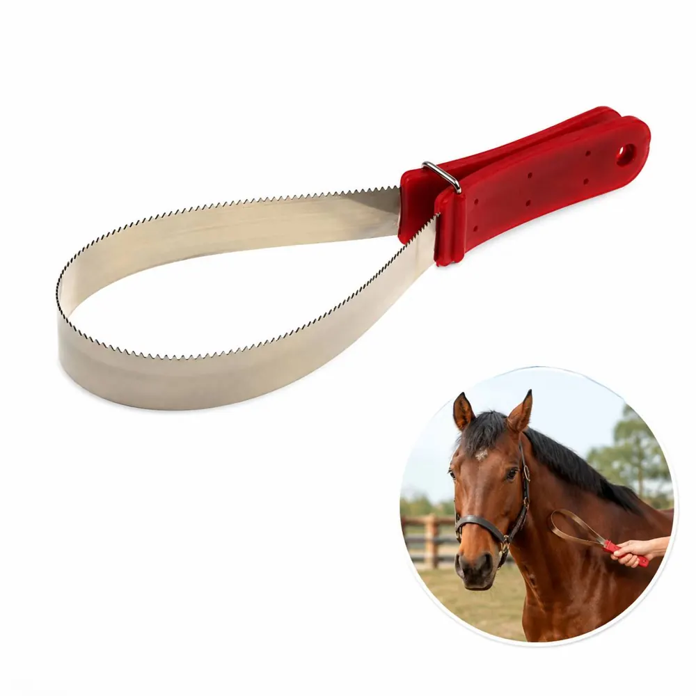 Stainless Steel Serrated Horse Sweat Scraper with Curry Comb 2