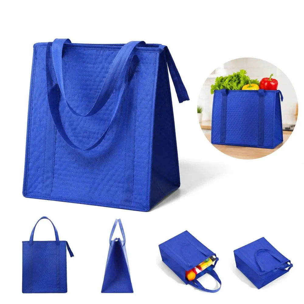 Insulated Thermal Cooler Tote Bag for Groceries and Picnics 2