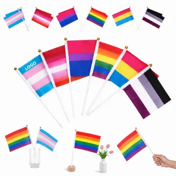 Mini Rainbow Pride Hand Flag Portable Parade Accessory
