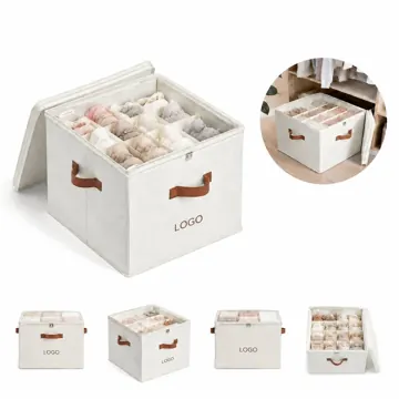 Adjustable Shoe Storage Box with Clear Compartments